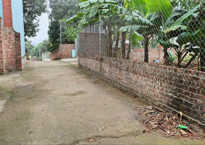 ĐẤT ĐẸP - GIÁ TỐT - Vị Trí Đắc Địa Tại Phú Cường, Minh Phú, Sóc Sơn, TPHN