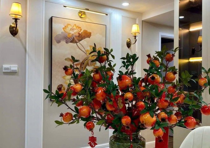 Cần bán căn hộ 82m2 Chung cư Topaz Twins P.Thống Nhất Biên Hòa giá 3.45 tỷ