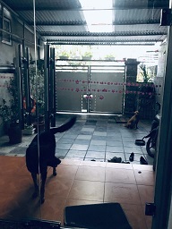 CHÍNH CHỦ CẦN BÁN ĐẤT TRUNG TÂM METRO HÀ TU – HẠ LONG