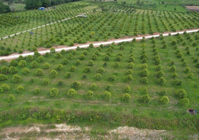 BÁN ĐẤT VƯỜN ĐẸP TẠI KHÁNH VĨNH – GIÁ CHỈ 3 TỶ, CÓ THƯƠNG LƯỢNG