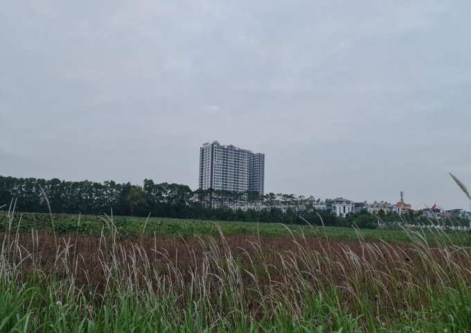 36.6m2 trục đường 25m kinh doanh tại Trâu Quỳ, Gia Lâm, Hà Nội.