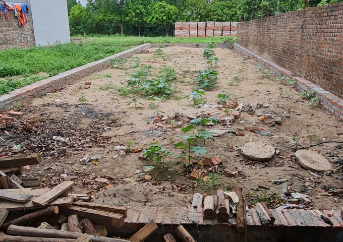 Bán lô đất 121m2 Hiệp Thuận, Phúc Thọ. Đất tái định cư cầu Phùng. Cách 120m đến Quốc Lộ 32