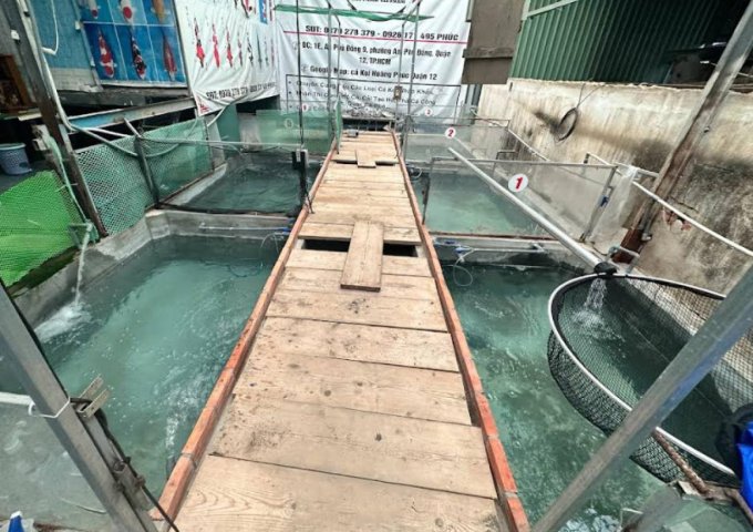 Nhà MT giá trong hẻm 261m², Nở hậu, Đ.10m – An Phú Đông Q12