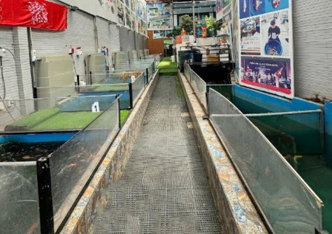 Nhà MT giá trong hẻm 261m², Nở hậu, Đ.10m – An Phú Đông Q12