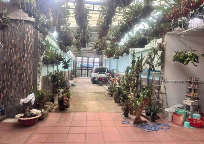 BÁN ĐẤT TẶNG XƯỞNG FULL THỔ (12x30) MT ĐƯỜNG TÂN XUÂN 2, HÓC MÔN 29TR/M²