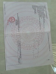 Chính Chủ Bán Nhanh Lô Đất Rộng 2935m2 Đẹp Tại Thuận Thành, Cần Giuộc Giá Chỉ 6.2 Tỷ