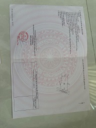 Chính Chủ Bán Nhanh Lô Đất Rộng 2935m2 Đẹp Tại Thuận Thành, Cần Giuộc Giá Chỉ 6.2 Tỷ