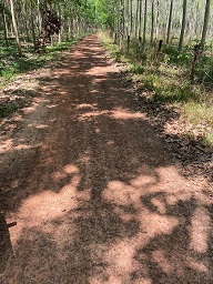 CHÍNH CHỦ CẦN BÁN LÔ ĐẤT GIÁ RẺ TẠI XÃ ĐỊNH THÀNH – DẦU TIẾNG – BÌNH DƯƠNG