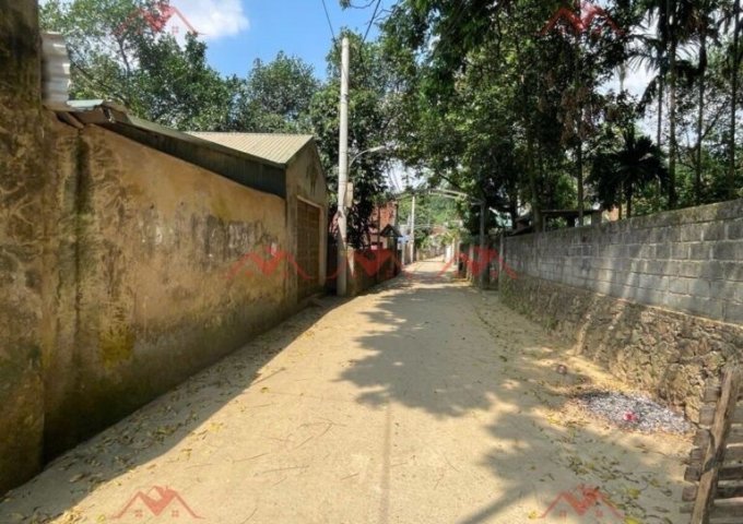 CHÍNH CHỦ BÁN LÔ ĐẤT 49,6M TẠI TIÊN PHƯƠNG-CHƯƠNG MỸ-HÀ NỘI