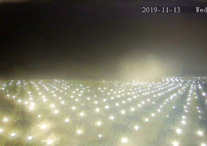 BÁN GẤP 1 MẪU ĐẤT TRỒNG CÂY LÂU NĂM ĐANG RA TRÁI – HÀM LIÊM, BÌNH THUẬN GIÁ CHỈ 2 TỶ 6