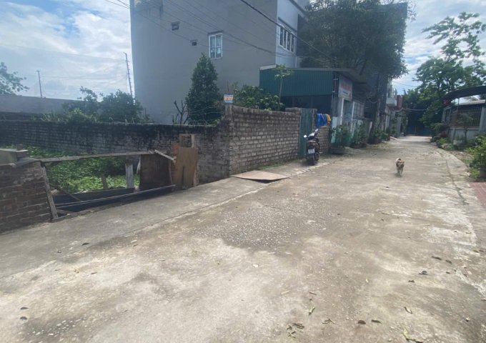 CHÍNH CHỦ BÁN LÔ ĐẤT 56,9M TẠI ĐẠI YÊN-CHƯƠNG MỸ-HÀ NỘI