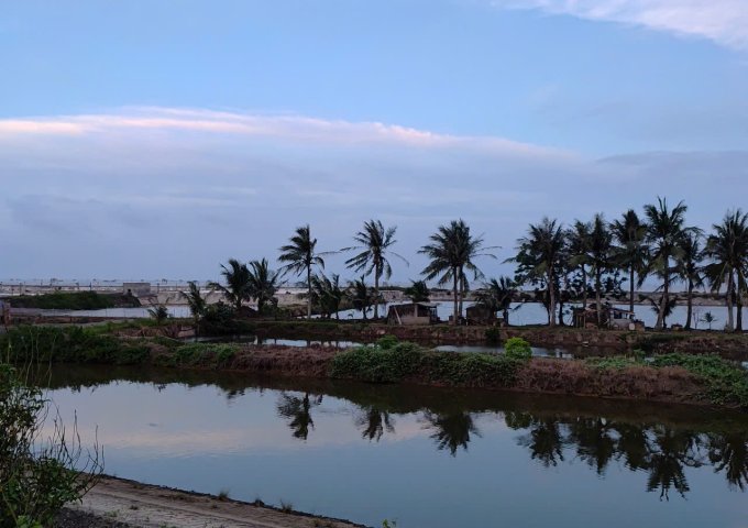 BÁN ĐẤT VEN BIỂN NAM THỊNH – TIỀN HẢI, THÁI BÌNH