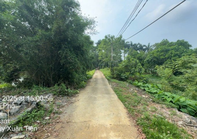 Chính chủ bán 2800m đất xã Thuỷ Xuân Tiên - huyện Chương Mỹ - Hà Nội