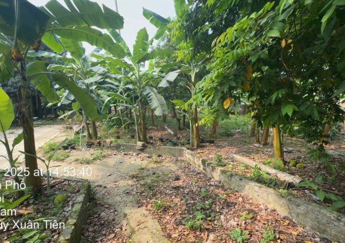 Chính chủ bán 2800m đất xã Thuỷ Xuân Tiên - huyện Chương Mỹ - Hà Nội