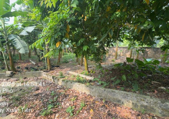 Chính chủ bán 2800m đất xã Thuỷ Xuân Tiên - huyện Chương Mỹ - Hà Nội