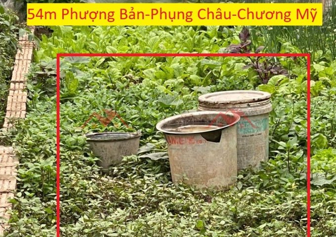 CHÍNH CHỦ BÁN LÔ ĐẤT 54M TẠI PHỤNG CHÂU-CHƯƠNG MỸ-HÀ NỘI