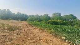 CHÍNH CHỦ CẦN BÁN 2 LÔ ĐẤT TẠI - TP HỒ CHI MINH