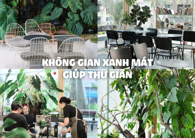 CHÍNH CHỦ Sang Nhượng Quán Cafe Ghill - Mặt Tiền Kha Vạn Cân, Thủ Đức