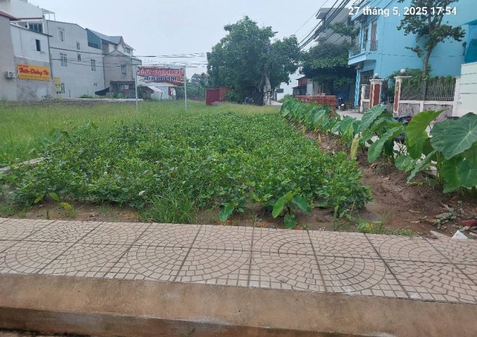 Đất Quang Minh, 75m2, mt5.5m, lô góc, 5.2 tỷ. Mê Linh.