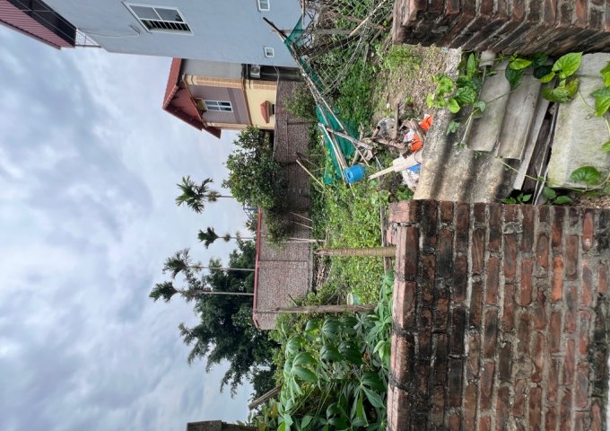 Bán đất Đa Tốn Gia lâm ngõ thông ô tô 3,2 tỷ tầm tiền nhiều người tìm kiếm