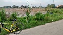 Chính chủ cần chuyển nhượng đất thổ cư tại Đức Lập Hạ – Long An