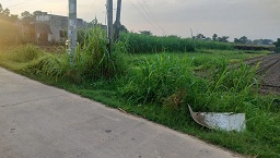 Chính chủ cần chuyển nhượng đất thổ cư tại Đức Lập Hạ – Long An