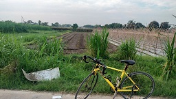 Chính chủ cần chuyển nhượng đất thổ cư tại Đức Lập Hạ – Long An