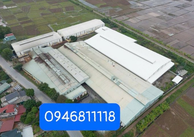 CHO THUÊ NHÀ XƯỞNG TẠI PHÚ THỌ.