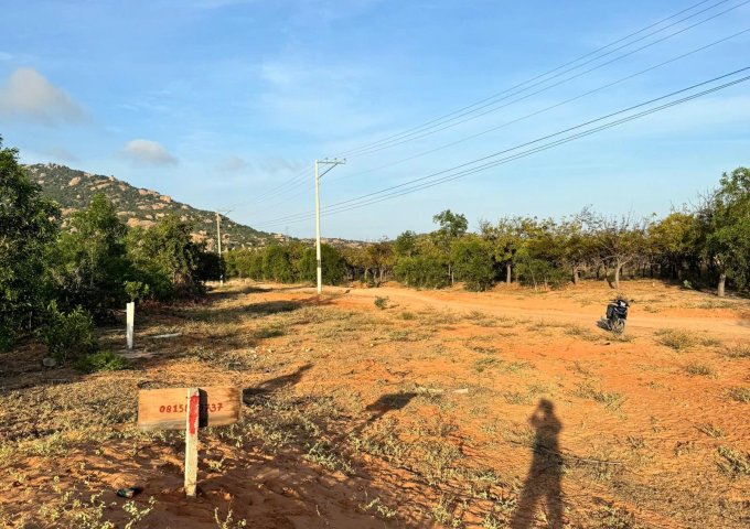 CHÍNH CHỦ CẦN BÁN LÔ ĐẤT ĐẸP TẠI NINH THUẬN