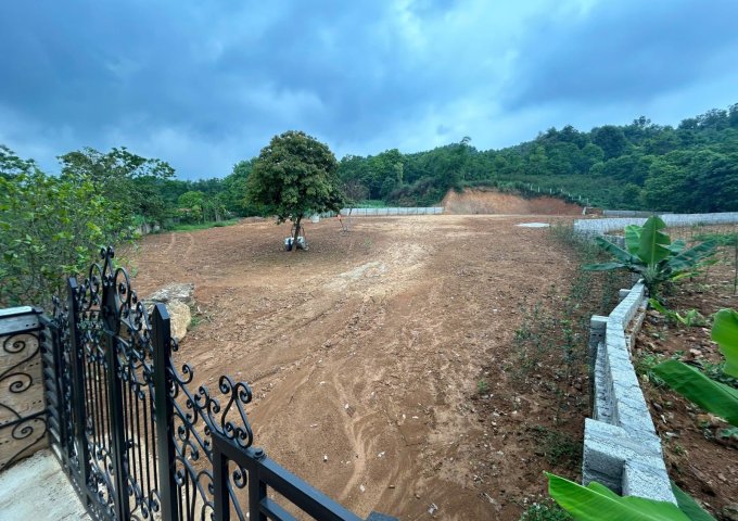 Chính chủ cần bán lô đất tại Vân Hòa – vị trí đẹp, pháp lý rõ ràng