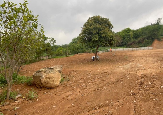 Chính chủ cần bán lô đất tại Vân Hòa – vị trí đẹp, pháp lý rõ ràng