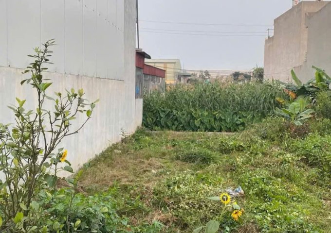 ► LÔ ĐẤT ĐẸP – TRUNG TÂM TỔ DÂN PHỐ 12, PHƯỜNG HƯNG ĐẠO, DƯƠNG KINH – HẢI PHÒNG