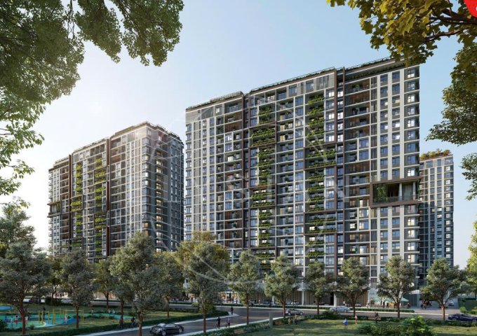 Dự án Elysian – toạ lạc ngay vị trí vàng & biểu tượng sống xanh giữa lòng Thủ Đức.