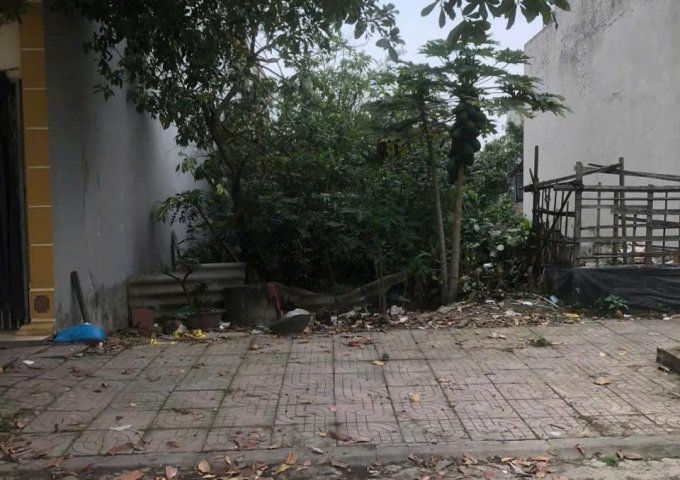 BÁN LÔ ĐẤT TRUNG TÂM TP. NINH BÌNH – PHỐ CHU VĂN AN, P. NAM BÌNH