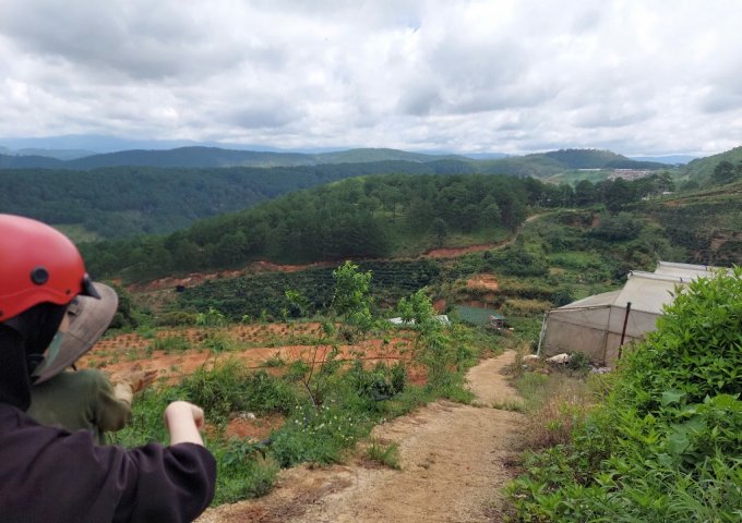 CƠ HỘI TỐT ĐỂ SỞ HƯU NGAY LÔ ĐẤT VỊ TRÍ ĐẸP- KHẢ NĂNG SINH LỜI CAO