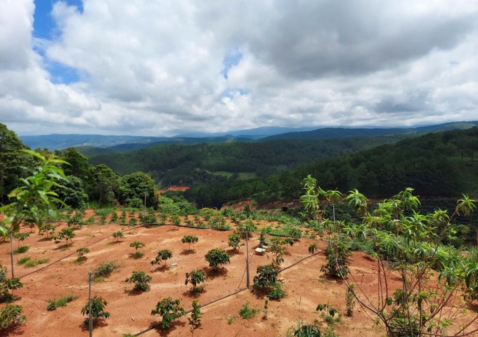 CƠ HỘI TỐT ĐỂ SỞ HƯU NGAY LÔ ĐẤT VỊ TRÍ ĐẸP- KHẢ NĂNG SINH LỜI CAO