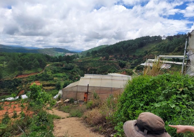 CƠ HỘI TỐT ĐỂ SỞ HƯU NGAY LÔ ĐẤT VỊ TRÍ ĐẸP- KHẢ NĂNG SINH LỜI CAO