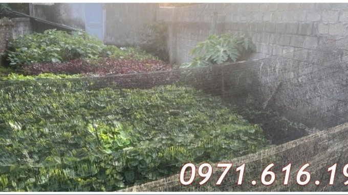 ⭐Chính chủ bán đất vị trí đẹp tại trung tâm Xuân Mai, Chương Mỹ, Hà Nội, 2,55tỷ; 0971616190