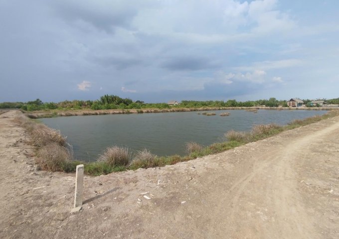 ► BÁN ĐẤT CHÍNH CHỦ – GẦN TRUNG TÂM XÃ AN THỚI ĐÔNG, CẦN GIỜ