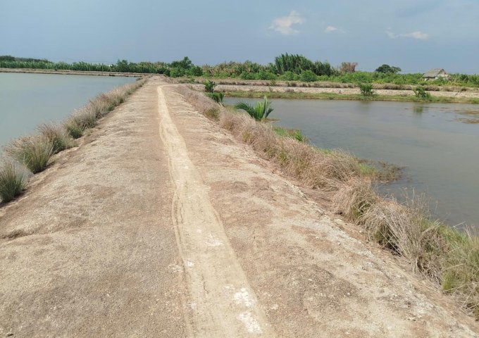 ► BÁN ĐẤT CHÍNH CHỦ – GẦN TRUNG TÂM XÃ AN THỚI ĐÔNG, CẦN GIỜ