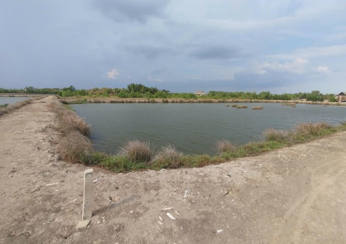 ► BÁN ĐẤT CHÍNH CHỦ – GẦN TRUNG TÂM XÃ AN THỚI ĐÔNG, CẦN GIỜ