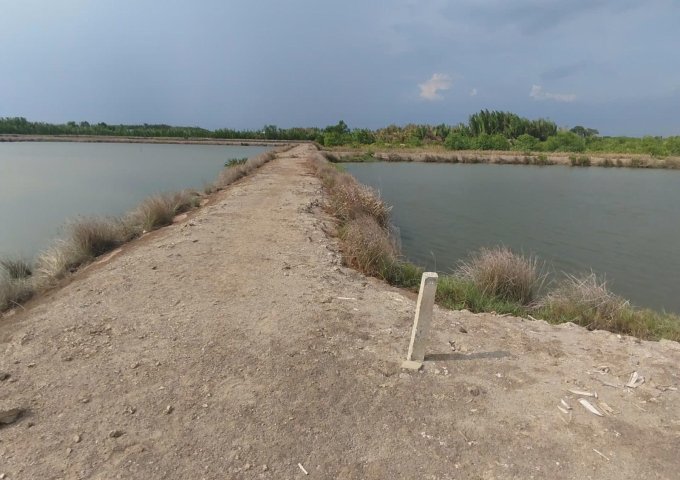 ► BÁN ĐẤT CHÍNH CHỦ – GẦN TRUNG TÂM XÃ AN THỚI ĐÔNG, CẦN GIỜ