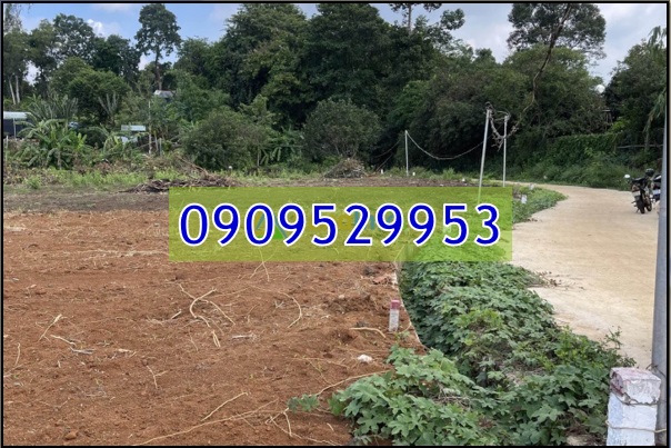 ⭐Bán 3 lô đất vị trí đẹp tại Châu Đức, Bà Rịa Vũng Tàu. từ 550tr; 0909529953