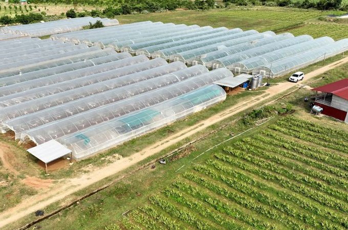 Cần Bán Đất Thôn Phú Nhuận- Xã Mỹ Sơn- Huyện Ninh Sơn- Tỉnh Ninh Thuận