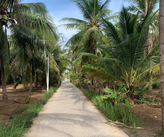 CHÍNH CHỦ CẦN BÁN ĐẤT TẠI - BẾN TRE