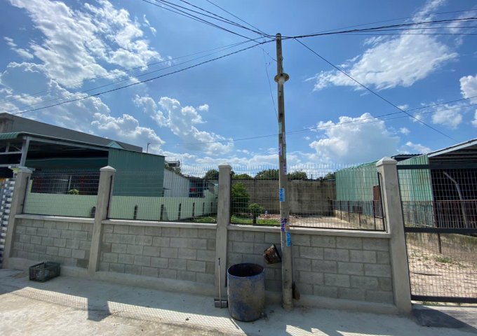 Cho thuê đất trống 276m², sổ đỏ chính chủ, có hàng rào kiên cố – Xã Thới Tam Thôn, Hóc Môn