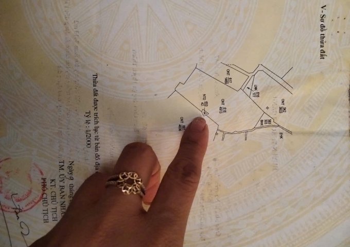 ► CHÍNH CHỦ BÁN ĐẤT XÃ THẠCH CẨM, THẠCH THÀNH, THANH HÓA – GIÁ CHỈ 1XX TRIỆU!