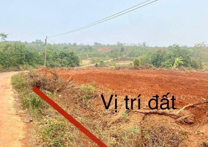 CHÍNH CHỦ GỬI BÁN 3 LÔ ĐẤT LIỀN KỀ – MẶT TIỀN BÊ TÔNG LIÊN XÃ QUẢNG HIỆP - EAHDING, CƯ' M GA, ĐĂK LĂK