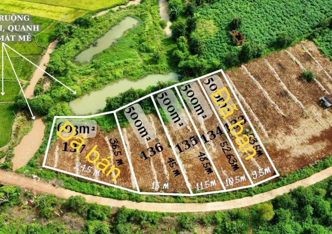 CHÍNH CHỦ GỬI BÁN 3 LÔ ĐẤT LIỀN KỀ – MẶT TIỀN BÊ TÔNG LIÊN XÃ QUẢNG HIỆP - EAHDING, CƯ' M GA, ĐĂK LĂK