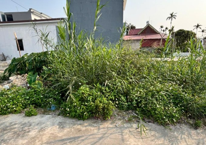 Cần Chuyển Nhượng Lô Đất Tại Hy Tái-Hồng Thái-An Dương-Hải Phòng
